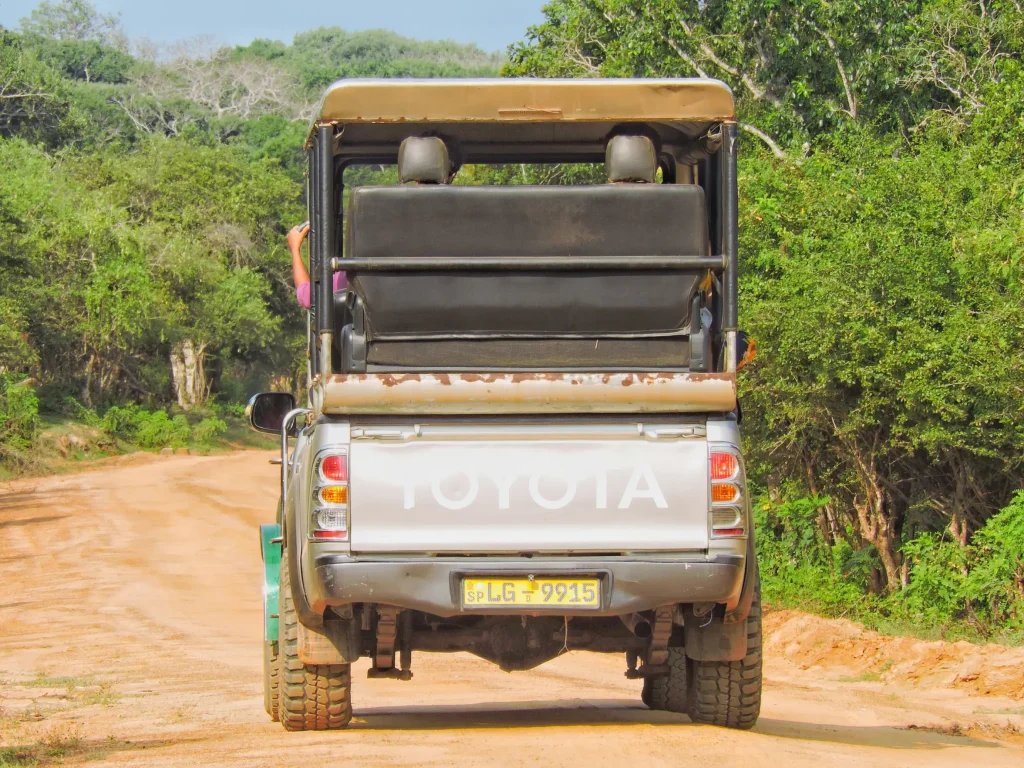 yala odyssey